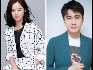 辛芷蕾老公（翟天临与辛芷蕾不婚同居）