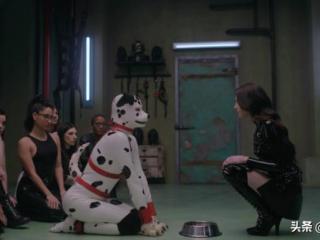 重口味美剧（HBO出品的重口味美剧）