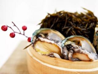 鲍鱼像什么（鲍鱼这些年经历了什么）