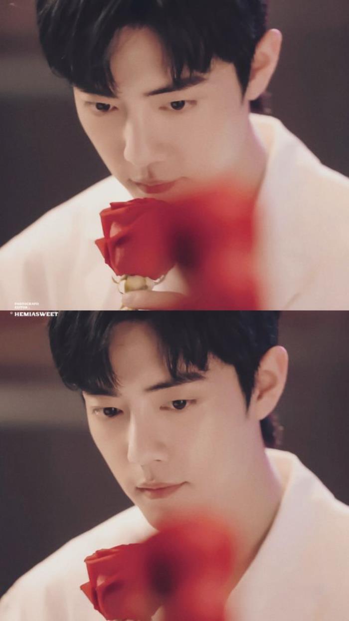 肖战微博挂件为什么是小王子玫瑰小王子和李宁运动肖战壁纸