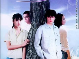 胡歌主演的电视剧，胡歌在2010年前出演过的几部电视剧