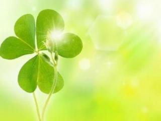 爱情的表达，表达爱情的简短说说