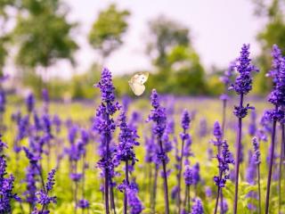 爱你的男人会离开你吗，爱你的男人突然离开你
