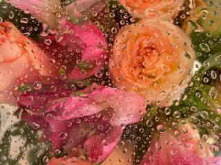 爱情微信网名，ins冷淡系微信昵称网名