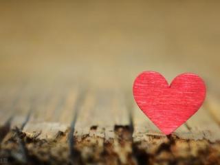 爱情是相互的好的爱情，好的爱情