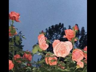 爱情文案长篇甜甜的，甜甜的爱情文案.