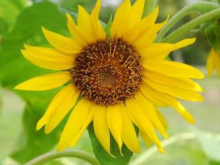 爱情段子伤感，表达爱情伤感的语录句子