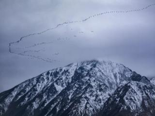 爱情经典对话，古代四大经典爱情传奇
