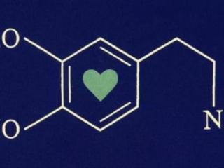 爱情是多巴胺的产物吗，爱情激素多巴胺导致短暂性遗忘
