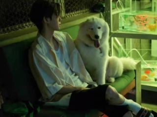 王源好像恋爱了，王源MV谈起恋爱