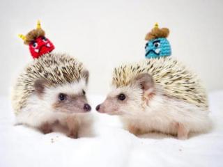 爱情中女生可以经常矫情吗，矫情女生