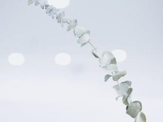 爱情诗句经典徐志摩，徐志摩5句让人心疼的经典语录