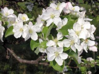 爱情里以退为进的方法，适合用以退为进的方法追求的三大星座