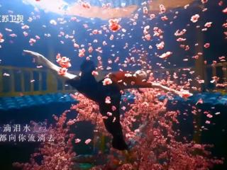 大鱼海棠现代舞教学，真人大鱼海棠水下舞蹈美出新高度。网友