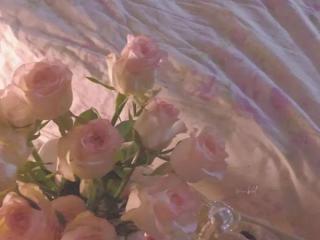 安慰男朋友的话怎么说，那些安慰男朋友的温柔文案(适合收藏噢)