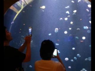 暗恋男生怎么让他喜欢你，如何让你的暗恋对象喜欢你