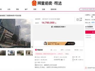 上海浦东新区豪宅，上海浦东新区豪宅高价拍卖