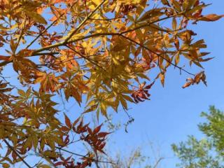 安慰老公压力大的暖心句子，老公工作压力大