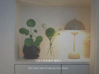 暗示对老公失望的句子，那些对他感到失望的句子