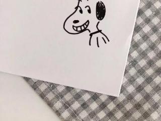 八个字的短句子，你最喜欢的只有八个字的句子是什么