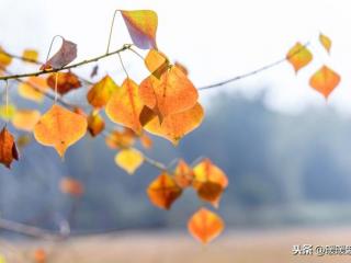 爱一个人只要他过得好，爱一个人就是