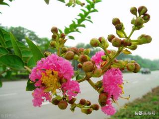 爱一个人却不想和他在一起，爱一个人