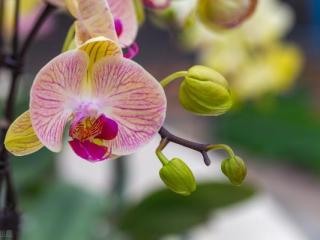 爱一个人的状态，真爱一个人的时候