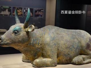 把我带回家吧，把沿黄九省镇馆之宝带回家吧