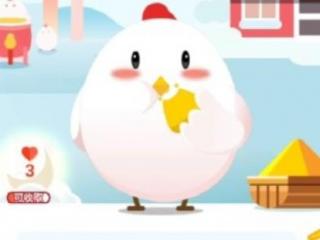 爸爸的姐姐怎么叫，爸爸的姐姐的女儿应该称