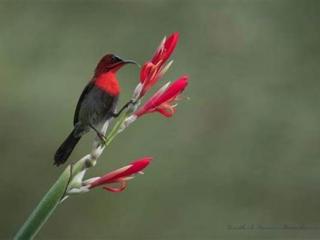 摆脱前女友纠缠绝招，前任篇3--如何摆脱纠缠的前女友