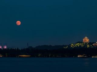 爸爸月亮来了，红月亮来了