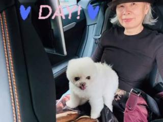 叶惠美年轻，妈妈叶惠美大量年轻合影照被公开