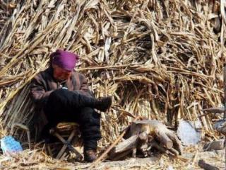 爸爸妈妈带我去姥姥家日记，陪护日记--照顾姥姥