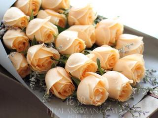 白玫瑰送什么人合适，香槟玫瑰适合送什么人