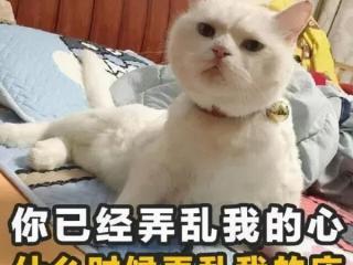 白天约会宝典，掌握这份约会宝典