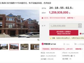 上海的豪宅，20套上海豪宅12.6亿元降价再拍