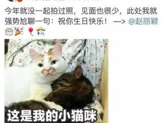 赵丽颖资源，如今赵丽颖的时尚资源、代言资源都这么好