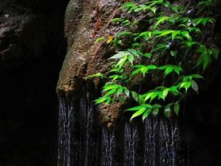 上海到重庆，上海到重庆武隆仙女山的航线即将开通