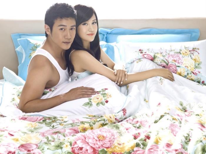 陆毅范冰冰,陆毅,范冰冰,陈冠希一起主演的这部剧