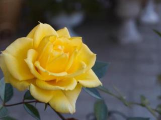 值得珍惜的男人的特征，有这四种特征的男人