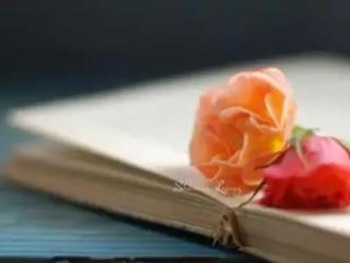 伤感的男人说说心情短语，简短伤感的爱情说说