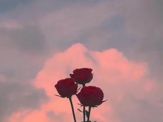 夫妻之间如果女方出轨怎么办，发现妻子出轨怎么办