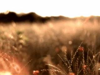 女生分手时为什么那么绝情，分手后她为什么这么绝情