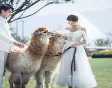 前妻出轨后又回来找我复合，前妻出轨还能和她复婚吗