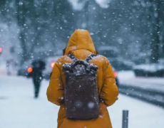 气温“大跳伞” 哪里将一夜返冬？气温骤降需要注意什么