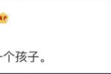 张碧晨是不是很爱华晨宇，华晨宇只爱张碧晨