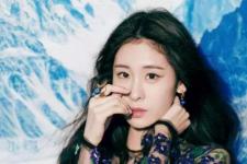 张碧晨是怎么成名的，张碧晨是怎么出道的呢