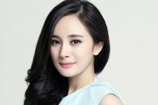 为什么娱乐圈的明星都离婚，娱乐圈离婚率为什么这么高