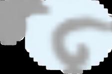 传闻张杰与谢娜离婚了吗，谢娜和张杰离婚了