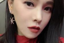 伊能静言论事件，伊能静境外出发言论惹争议